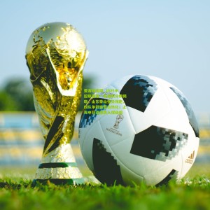 爱游戏官网_2025中超联赛第一阶段积分榜揭晓，山东泰山强势领跑，四队争冠格局白热化；上海申花遗憾跌入保级组