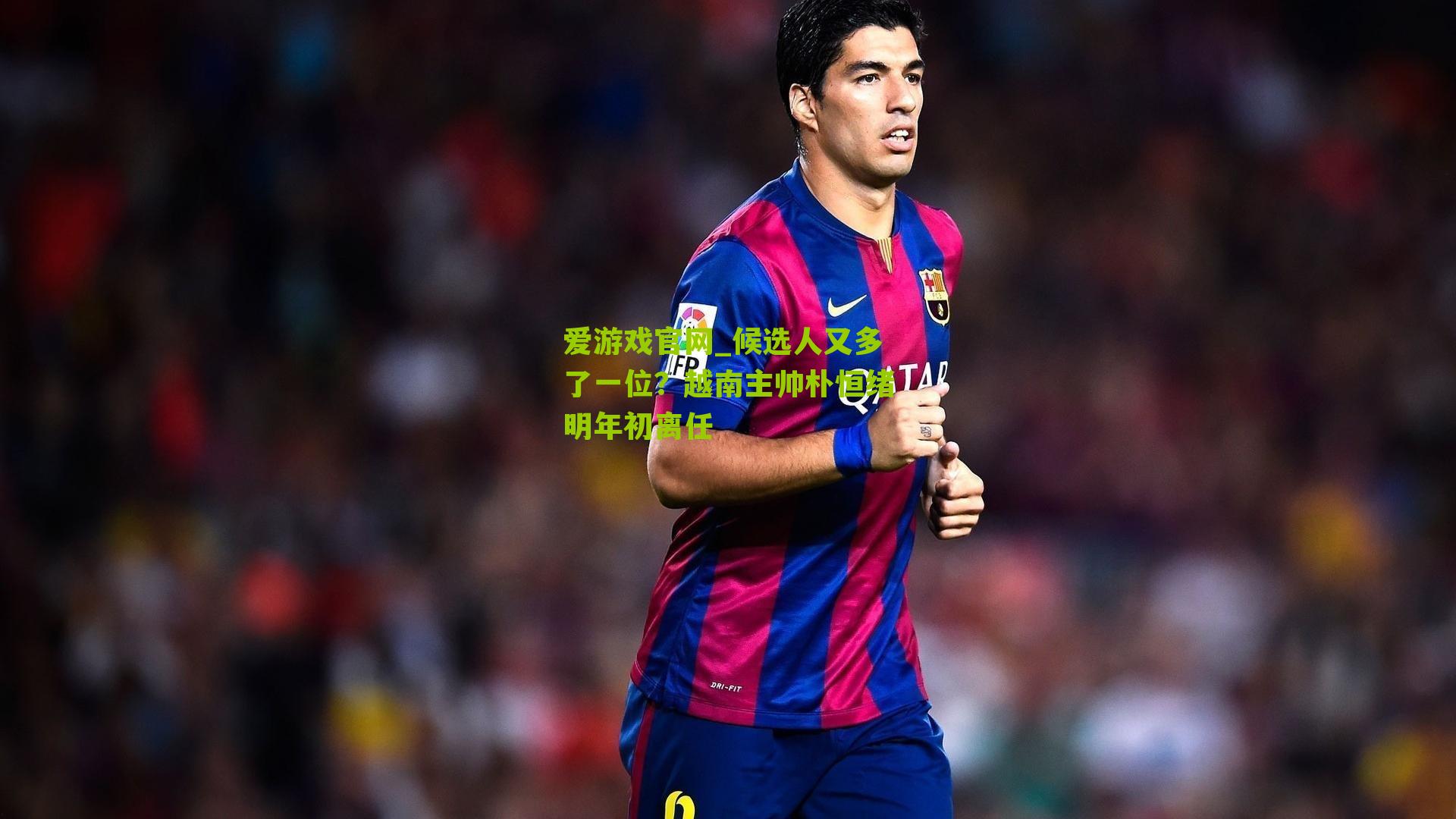 候选人又多了一位？越南主帅朴恒绪明年初离任