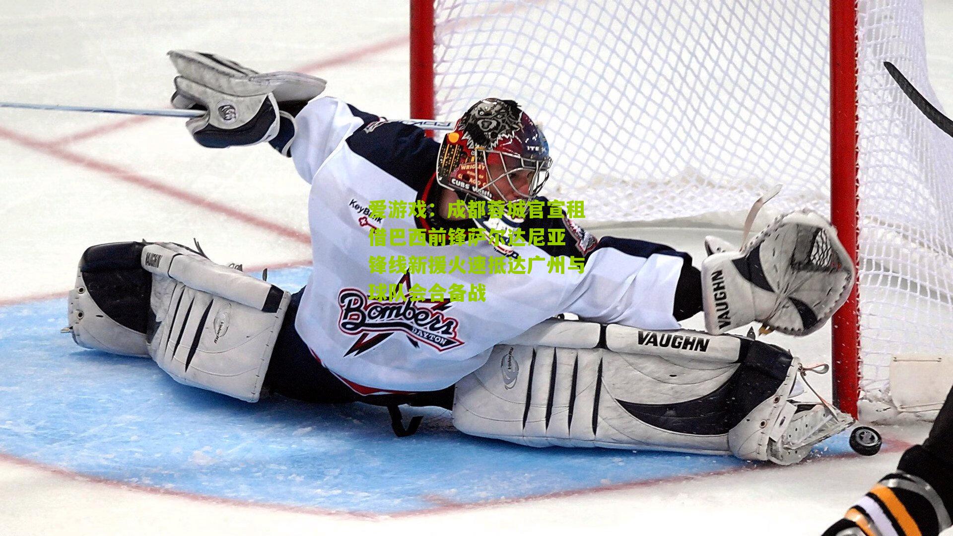 成都蓉城官宣租借巴西前锋萨尔达尼亚 锋线新援火速抵达广州与球队会合备战