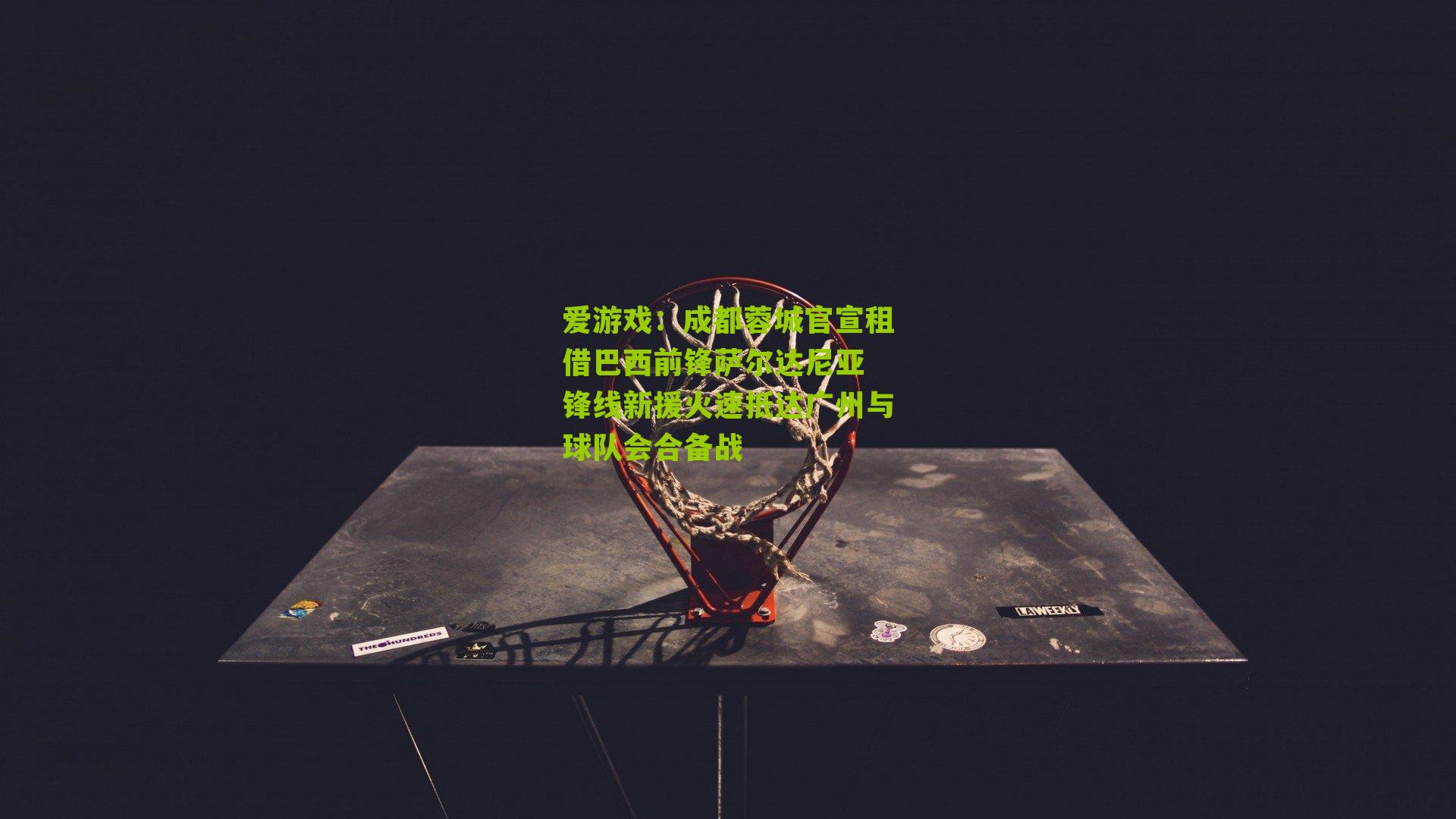 成都蓉城官宣租借巴西前锋萨尔达尼亚 锋线新援火速抵达广州与球队会合备战